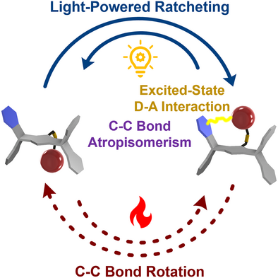 Light-Powered Atroposelective Ratcheting graphical abstract